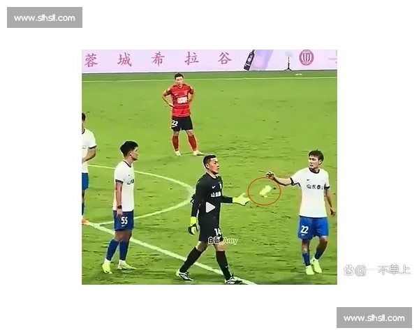 王大雷红牌扔袖标致歉:职业精神与信任危机的双重警示 王大雷红牌扔袖标致歉:职业精神与信任危机的双重警示