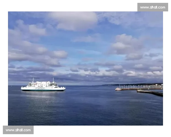 2026世界杯排名预测：丹麦，童话王国能否续写童话！